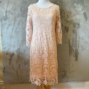 Romantic Rosette Coquette Lace Embroidered Elegant Pink Dress Sz 8